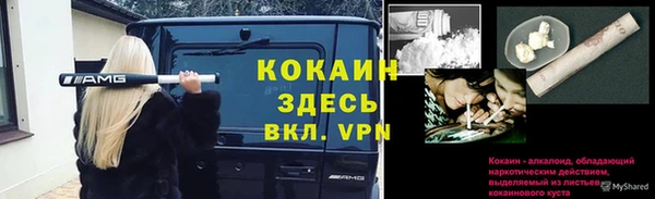 jwh Алзамай